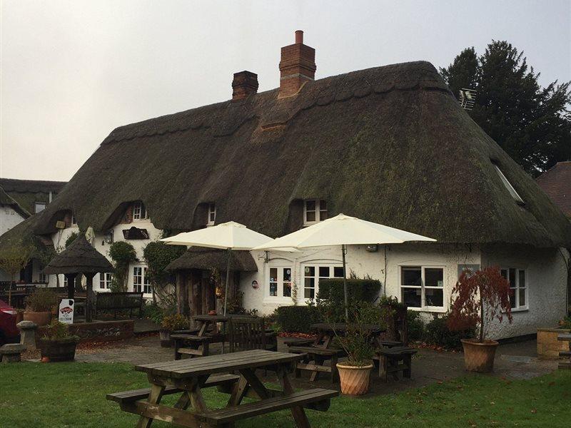 The Hatchet Inn Chute Exteriér fotografie