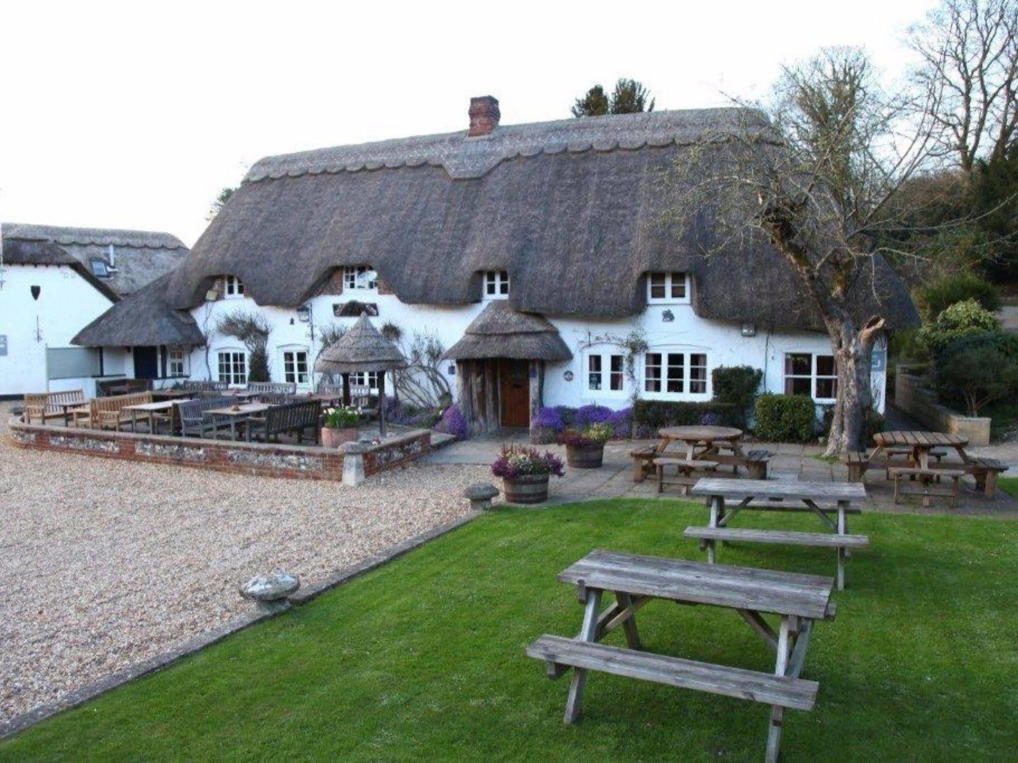 The Hatchet Inn Chute Exteriér fotografie